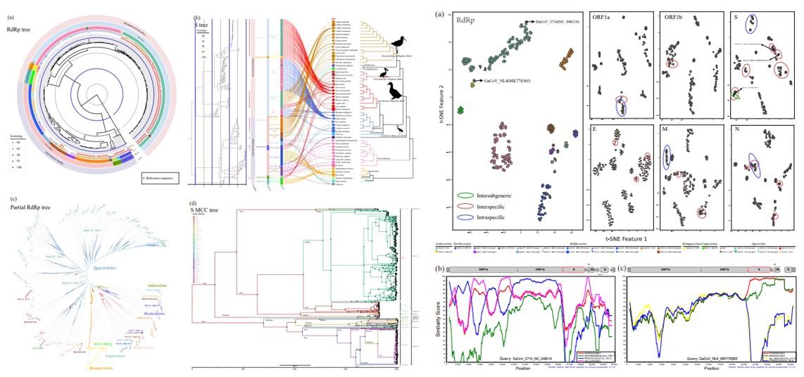 图片1.jpg 图片1.jpg