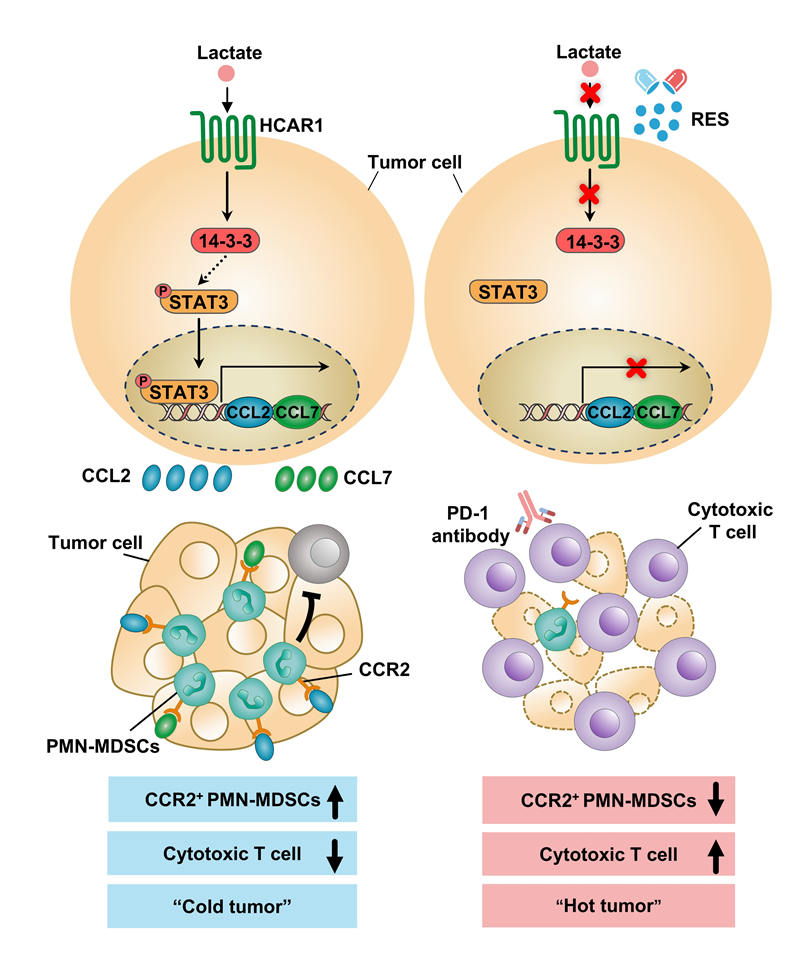 微信图片_20250206125743.png 微信图片_20250206125743.png